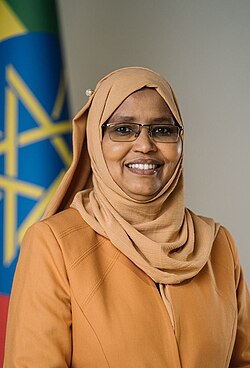 H.E AISHA MOHAMMED MUSSA (ENG)